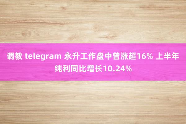 调教 telegram 永升工作盘中曾涨超16% 上半年纯利同比增长10.24%
