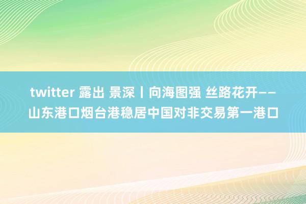 twitter 露出 景深丨向海图强 丝路花开——山东港口烟台港稳居中国对非交易第一港口