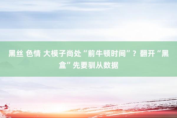 黑丝 色情 大模子尚处“前牛顿时间”？翻开“黑盒”先要驯从数据