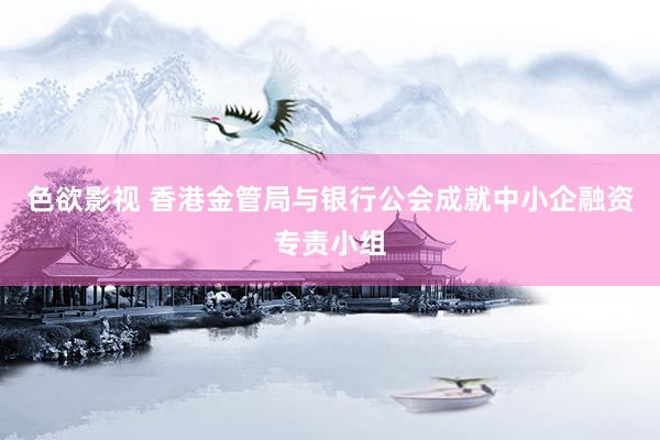 色欲影视 香港金管局与银行公会成就中小企融资专责小组