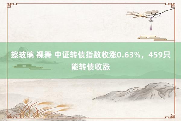 擦玻璃 裸舞 中证转债指数收涨0.63%，459只能转债收涨