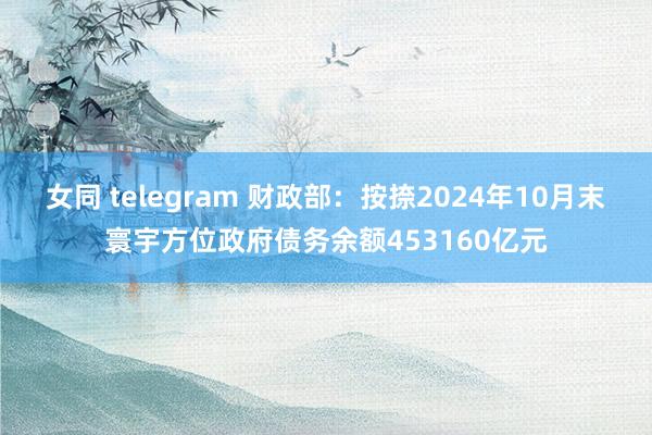 女同 telegram 财政部：按捺2024年10月末寰宇方位政府债务余额453160亿元