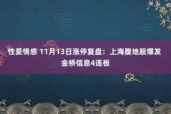 性爱情感 11月13日涨停复盘：上海腹地股爆发 金桥信息4连板