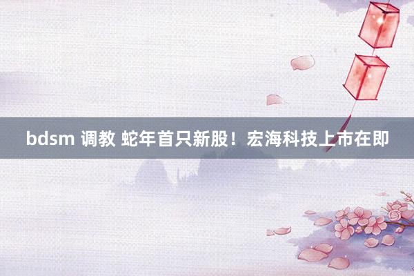 bdsm 调教 蛇年首只新股！宏海科技上市在即