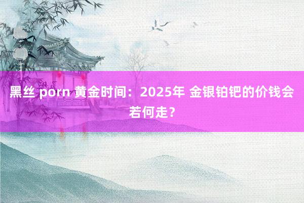 黑丝 porn 黄金时间：2025年 金银铂钯的价钱会若何走？