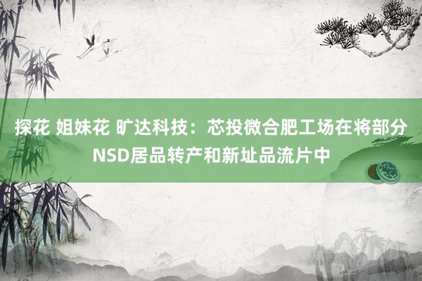 探花 姐妹花 旷达科技：芯投微合肥工场在将部分NSD居品转产和新址品流片中