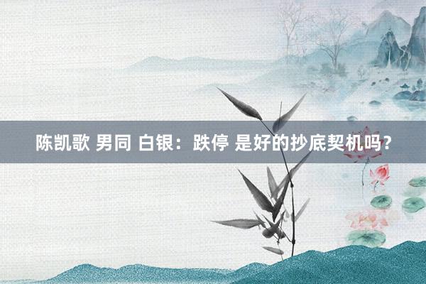 陈凯歌 男同 白银：跌停 是好的抄底契机吗？